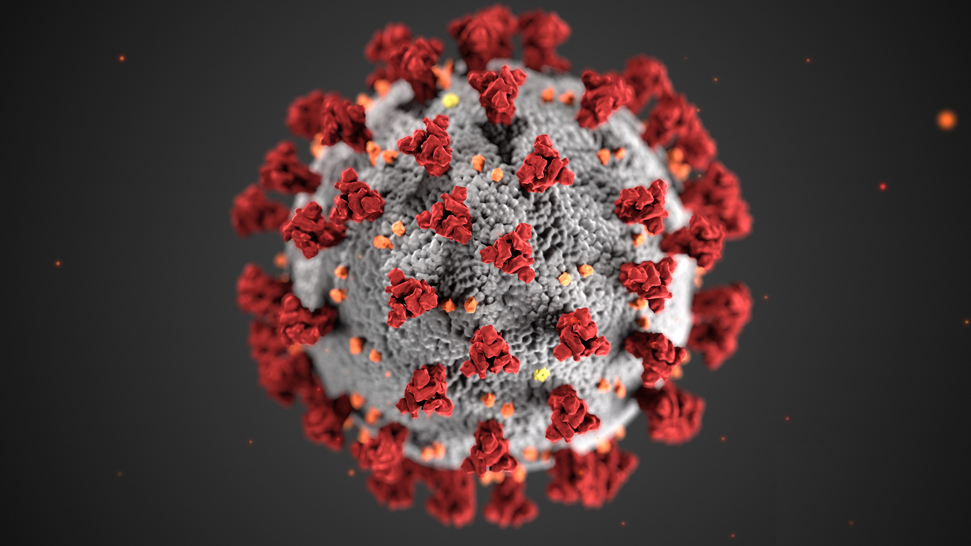 CORONAVIRUS (COVID-19) INFORMATII UTILE TELVERDE 0800 800 358